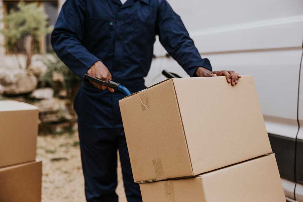 local movers in Tampa